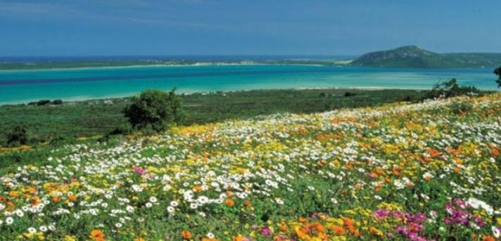 Apartment Solace @ Helios Langebaan